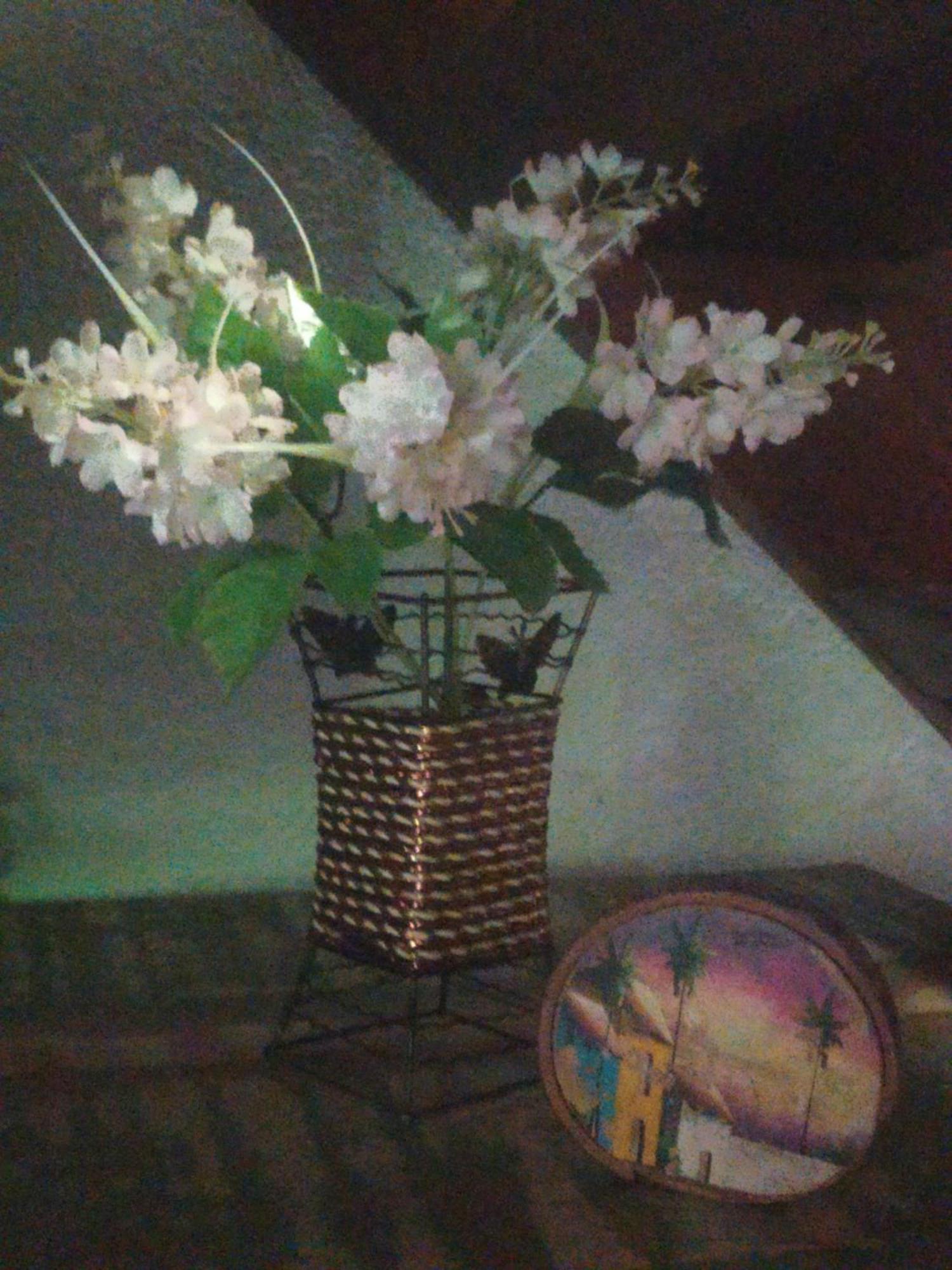 Chale Da Aldeia 木屋 *